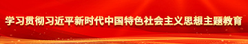 www.被操网站学习贯彻习近平新时代中国特色社会主义思想主题教育
